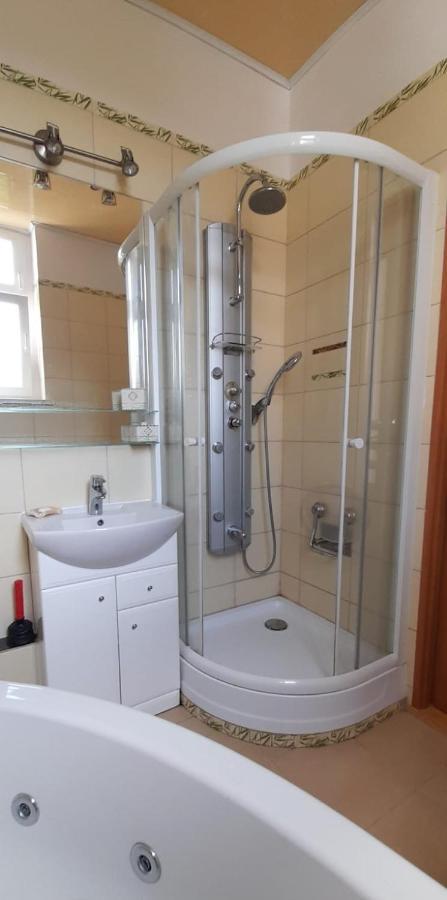 Ferienwohnung Apartament Kasztanowy Gliwice Exterior foto
